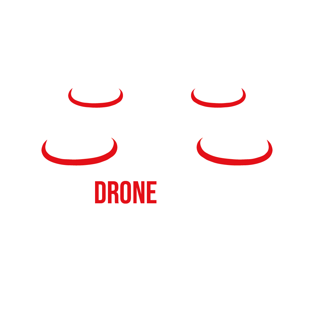 DRONEGUARD Logo